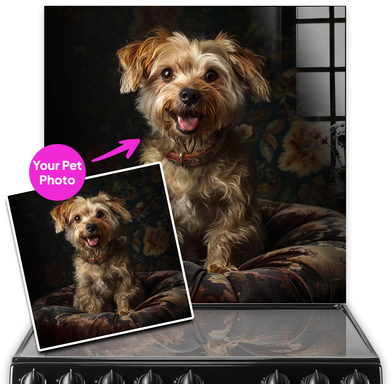 Picture of a cooker splashback featuring a pet dog