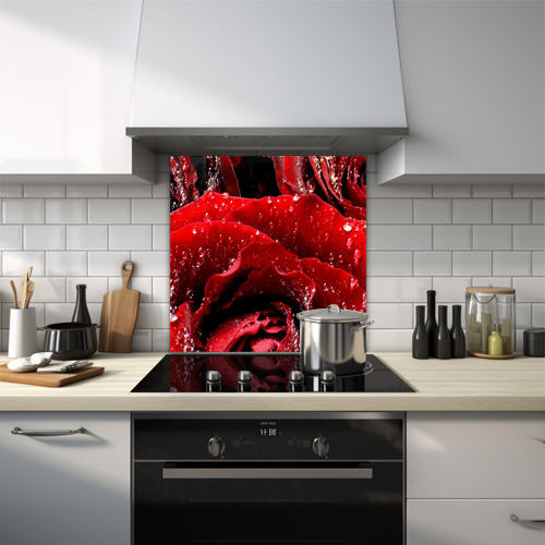 Close up of a red rose with water droplets glass splashback.