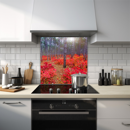 Silver birch wood with an autumnal setting and red plants on the floor glass splashback.