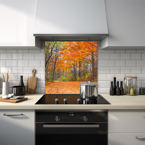 Clearing in a wood during autumn with red, orange, and green leaves glass splashback.