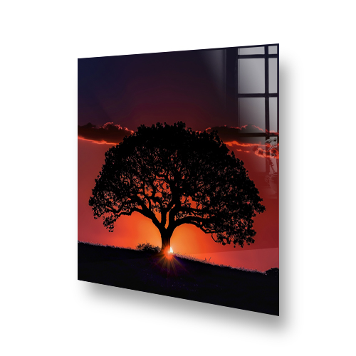 Kitchen with silhouette of a tree against a sunset printed on the splashback, above the stove. Side View