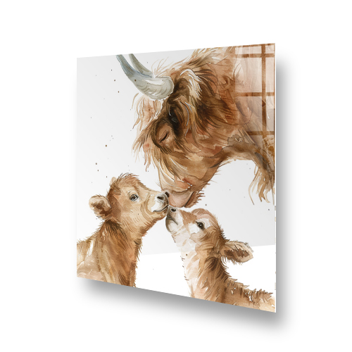 Watercolour illustration of a mother Highland cow and her calves on a kitchen splashback Side View