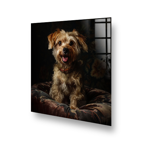 Picture of a cooker splashback featuring a pet dog Side View