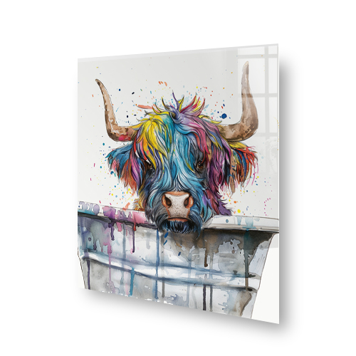 Colourful Highland Cow in a Bucket Printed Splashback Side View