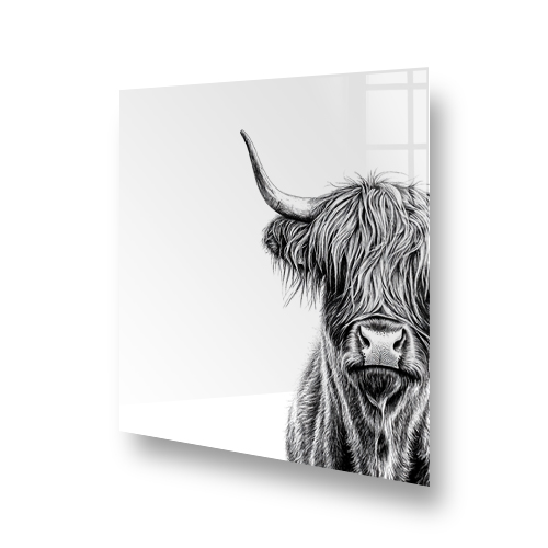 Stylish monochrome illustration of a Highland Cow on a kitchen splashback Side View
