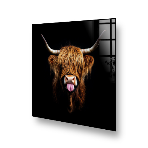 Playful Highland Cow with russet fur and cream horns on black background splashback art named "Twilight Cheek" Side View