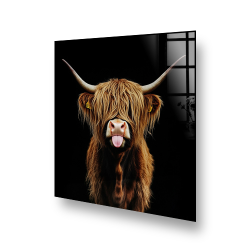 Highland Cow with Tongue Out on Black Background - "Mischief in the Dark" Kitchen Splashback Art Side View