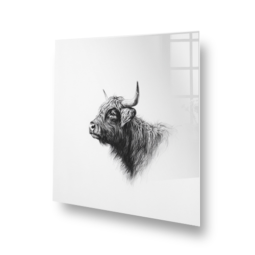 Highland cow black and white sketch splashback with grey and white background. Side View