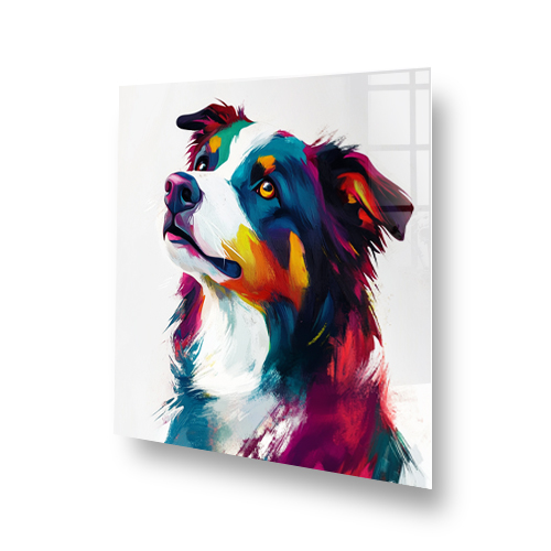Vibrant impressionistic Border Collie splashback art with reds, blues, and yellows. Side View