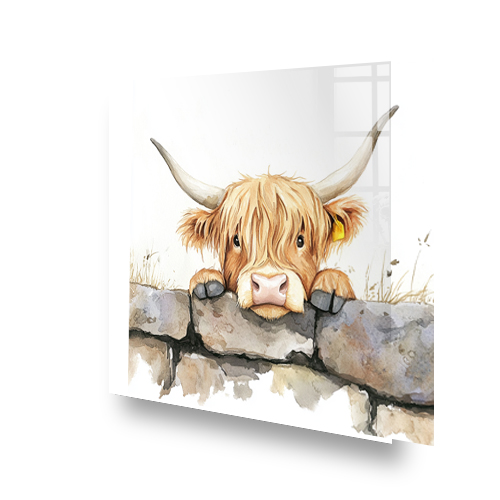 Highland cow peeking over stone wall splashback art in watercolour style. Side View