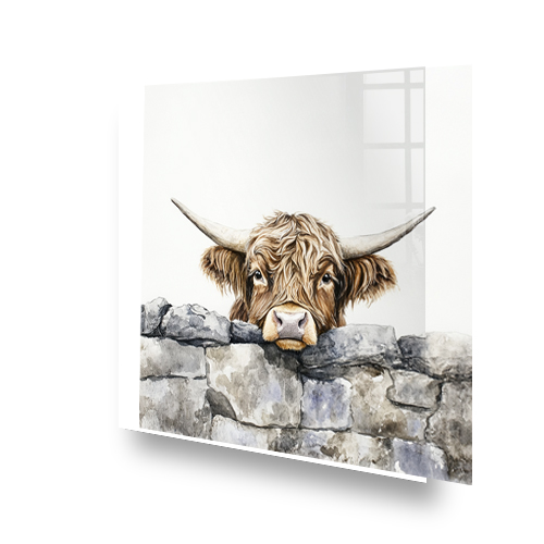 Highland cow looking over a stone wall splashback art. Side View