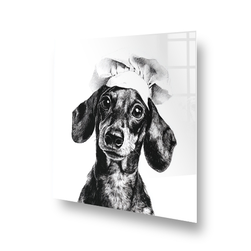 Black and white Monochrome Sausage Dog splashback with hand-drawn art style Side View