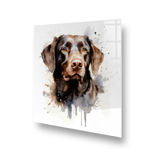 Artistic chocolate Labrador Retriever kitchen splashback with a watercolour effect on a white background Side View