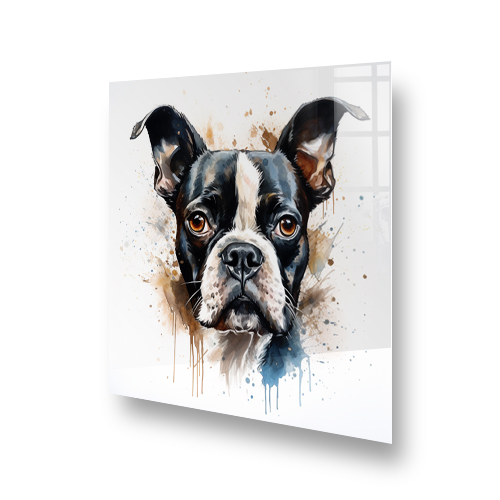 Artistic printed Boston Terrier splashback in a kitchen setting with colour splashes Side View