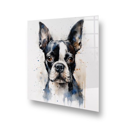 Artistic Boston Terrier Kitchen Splashback in Watercolour Style Side View