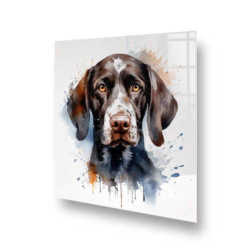 Artistic printed splashback of a German Short Haired Pointer in brown and beige with blue and orange splashes of colour Side View