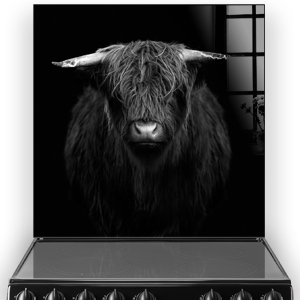 Black and white image of a Highland calf on kitchen splashback above a cooker thumbnail