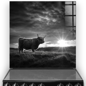 Black and white kitchen splashback art featuring a Highland cow at sunset