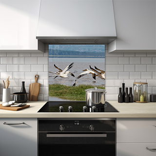 Glass splashback of pelicans soaring above a calm lake. thumbnail