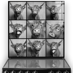 Black and white artistic montage of a Highland cow in a photobooth with various expressions on a kitchen splashback.