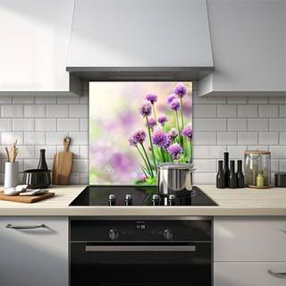 Purple chive flowers under the sunlight. thumbnail