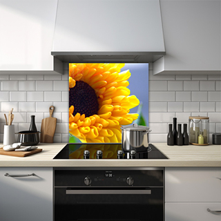 Close-up of a sunflower. thumbnail