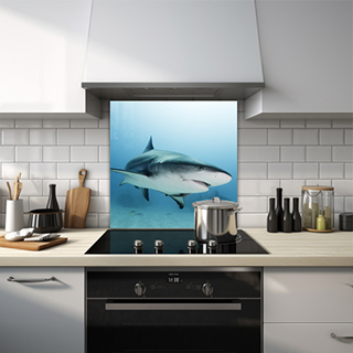 Close-up of a great white shark glass splashback. thumbnail