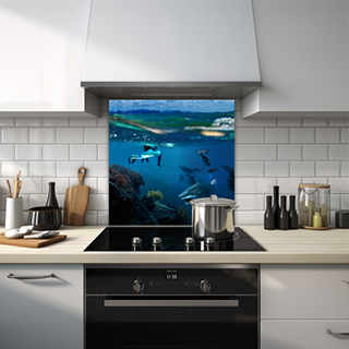 Paddleboarder's legs dangling into the ocean near a great white shark glass splashback. thumbnail