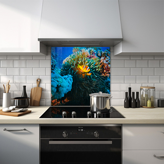 Red sea clownfish swimming in a lively coral reef glass splashback. thumbnail