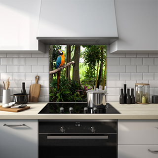 Parrot glass splashback depicting a blue-winged, orange-chested bird in a jungle setting. thumbnail